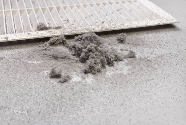 Best Duct Cleaning for Offices  in Hampden Sydney, VA