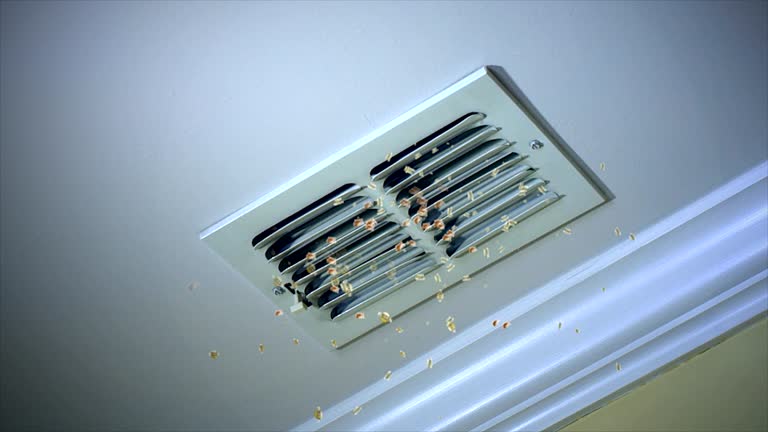  Hampden Sydney, VA Airduct Cleaning Pros
