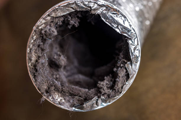 Best HVAC Duct Inspection Services  in Hampden Sydney, VA